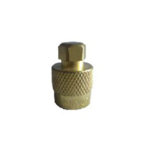 TRVC7 Large Bore Valve Cap - Hex