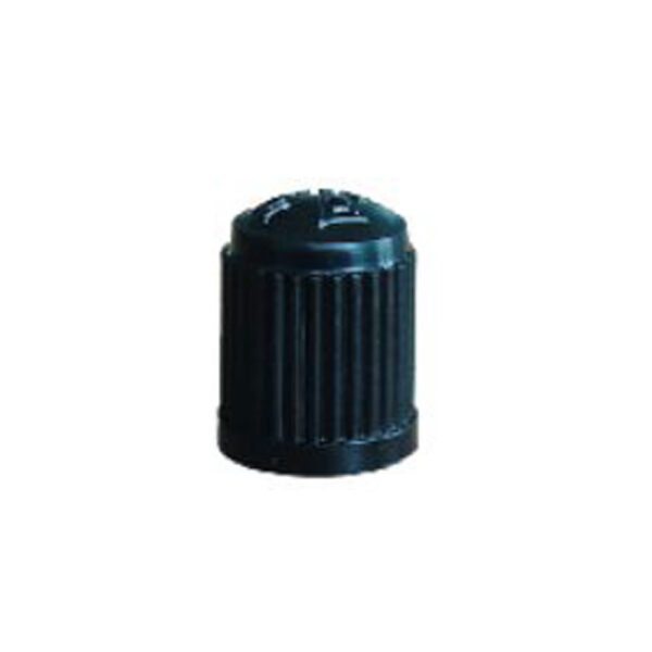 Black plastic valve cap